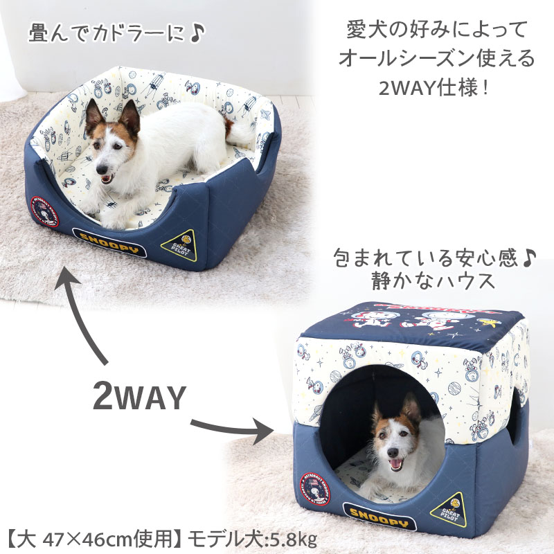 item82a3cc365ba311efb32f0242ac
