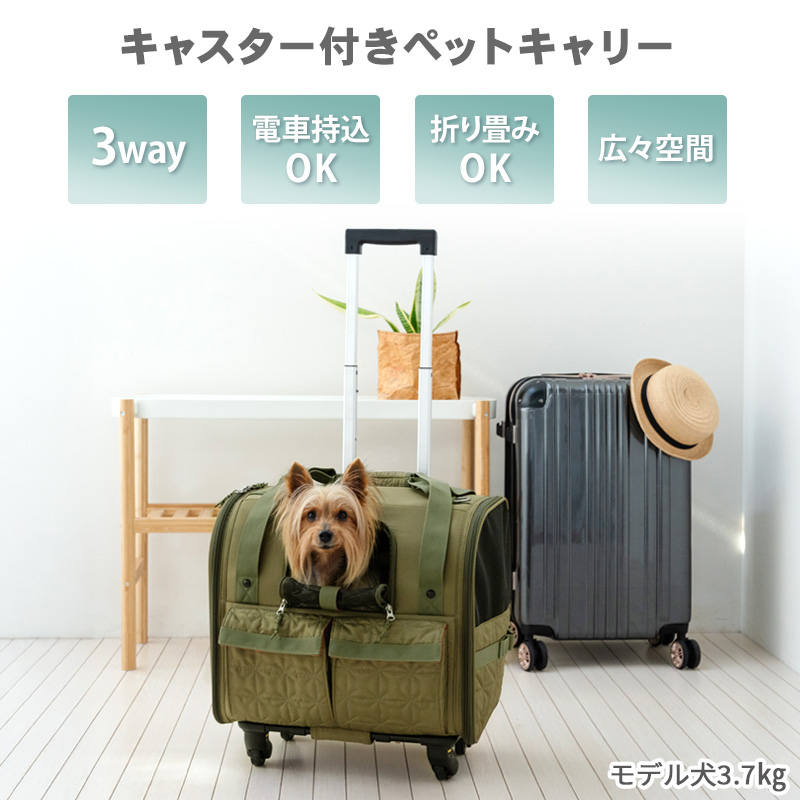ペットパラダイス　Pretty Bouquest ペットキャリー ペットパラダイス プリティブーケ デニムキャリーバッグ （ri